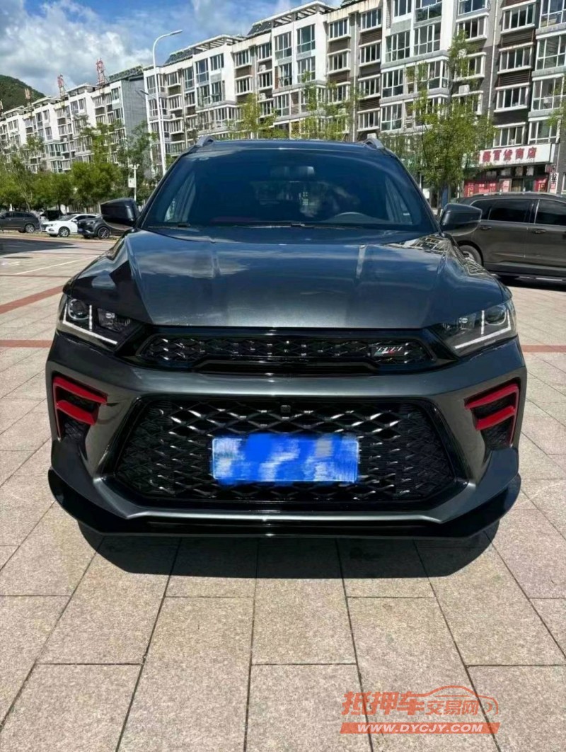 石家莊24年SWM斯威汽車G011