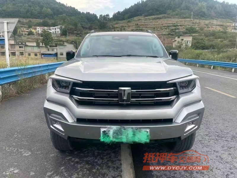 秦皇島24年長城汽車坦克4001