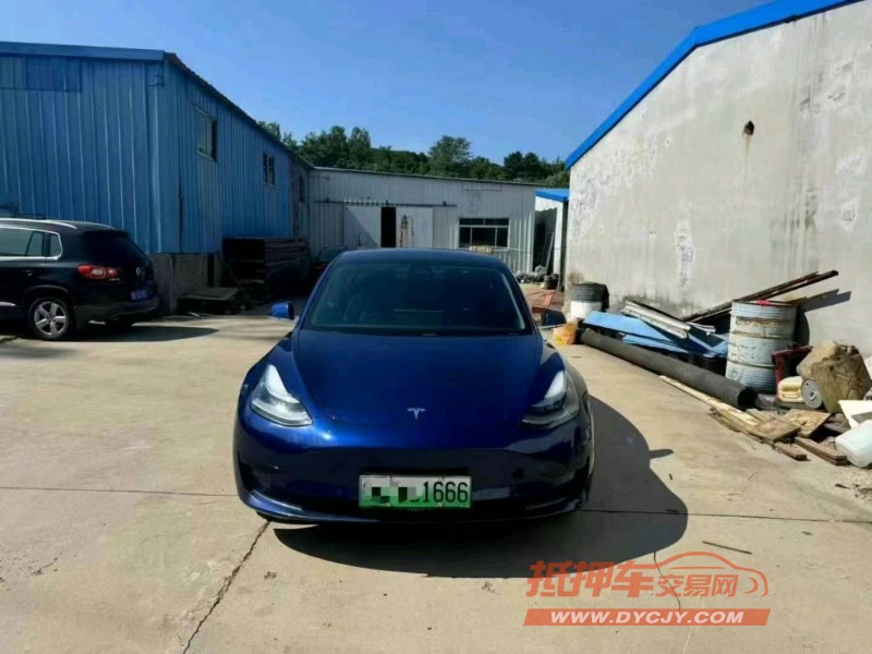 濟寧20年特斯拉MODEL 31