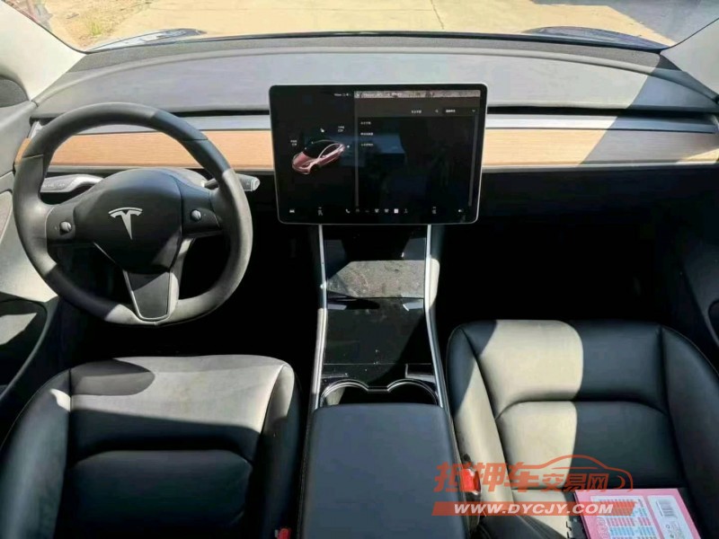 濟寧20年特斯拉MODEL 36
