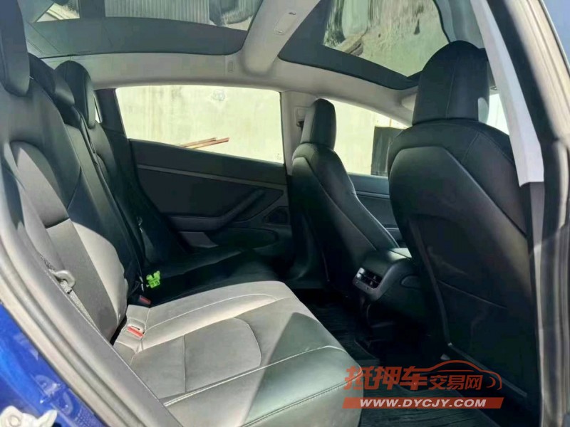 濟寧20年特斯拉MODEL 38
