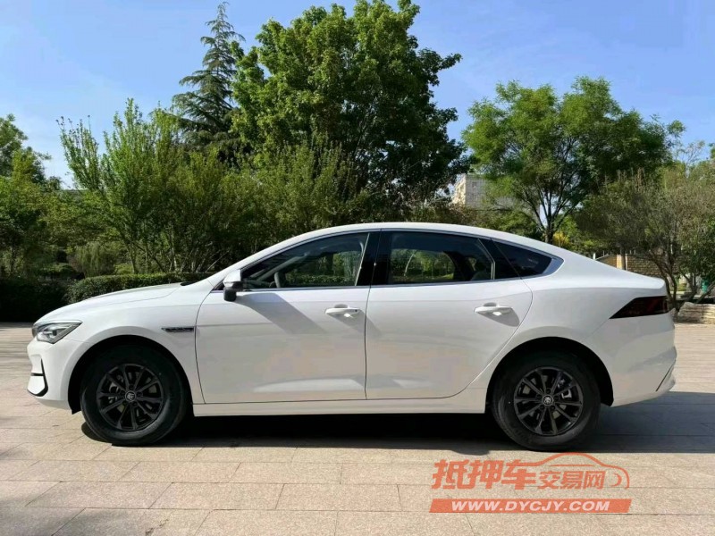 邢台24年比亚迪秦8