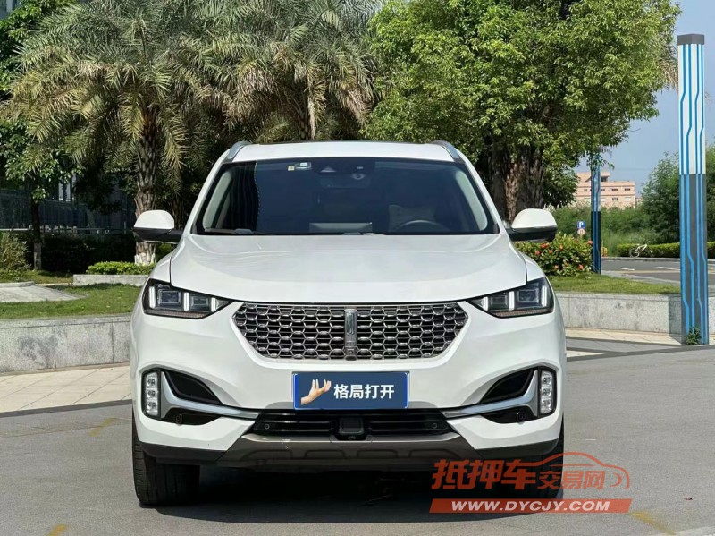 東莞21年長城汽車WEY VV61