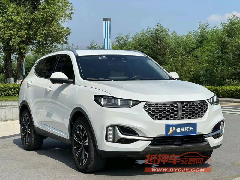 東莞21年長城汽車WEY VV62