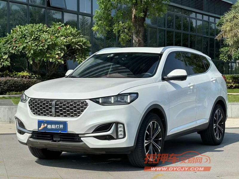 東莞21年長城汽車WEY VV63
