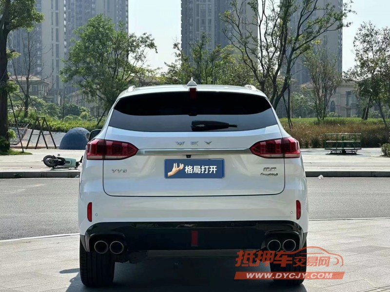 東莞21年長城汽車WEY VV69