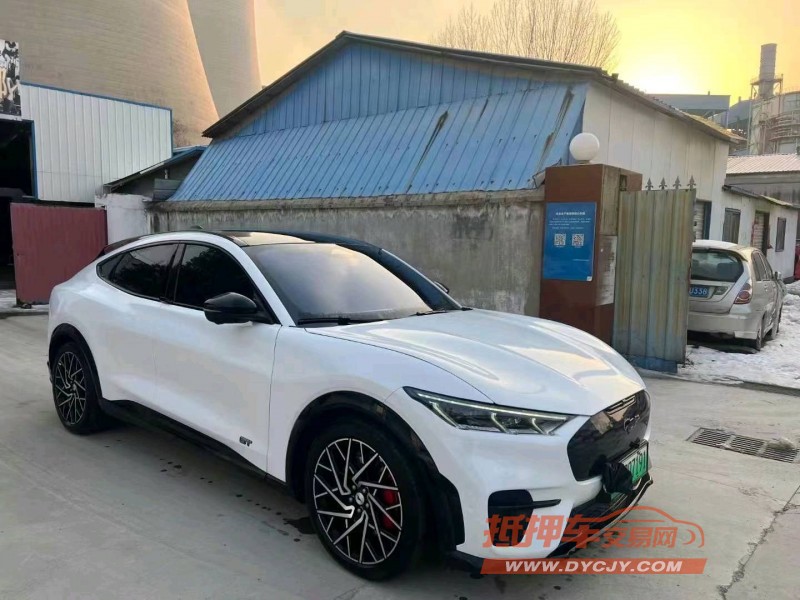 枣庄22年福特玛斯丹GT2