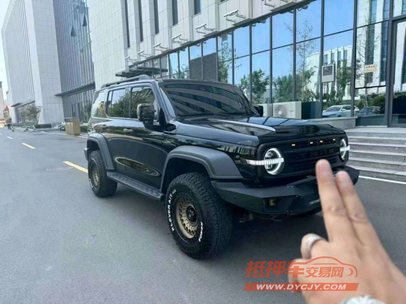 濟南21年長城汽車坦克3003