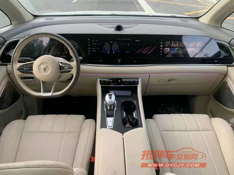 濟寧23年嵐圖汽車夢想家6
