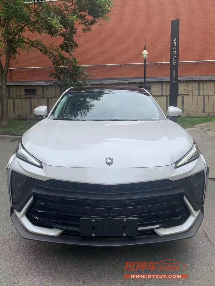 成都24年东风T51