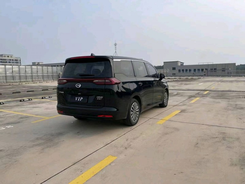 溫州19年傳祺M66