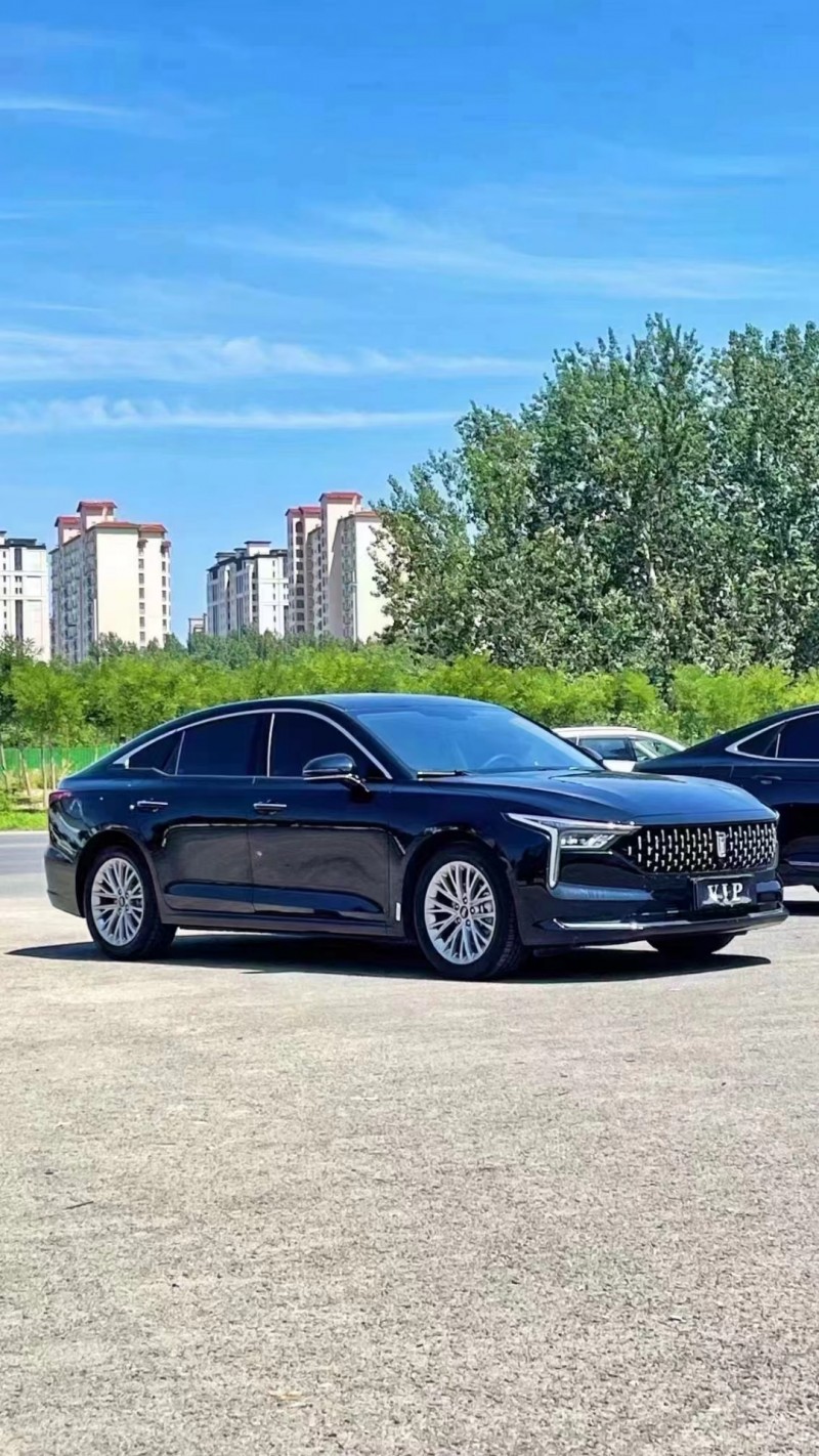 廊坊24年奔騰B703