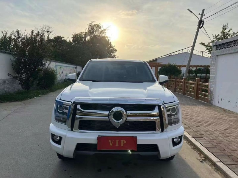 濰坊23年長城汽車炮 皮卡1