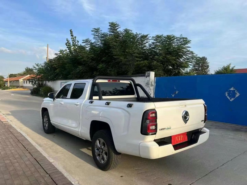 濰坊23年長城汽車炮 皮卡7