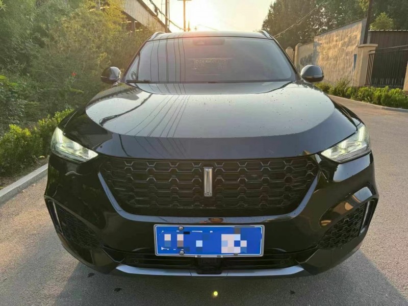 淄博18年長城汽車WEY VV61