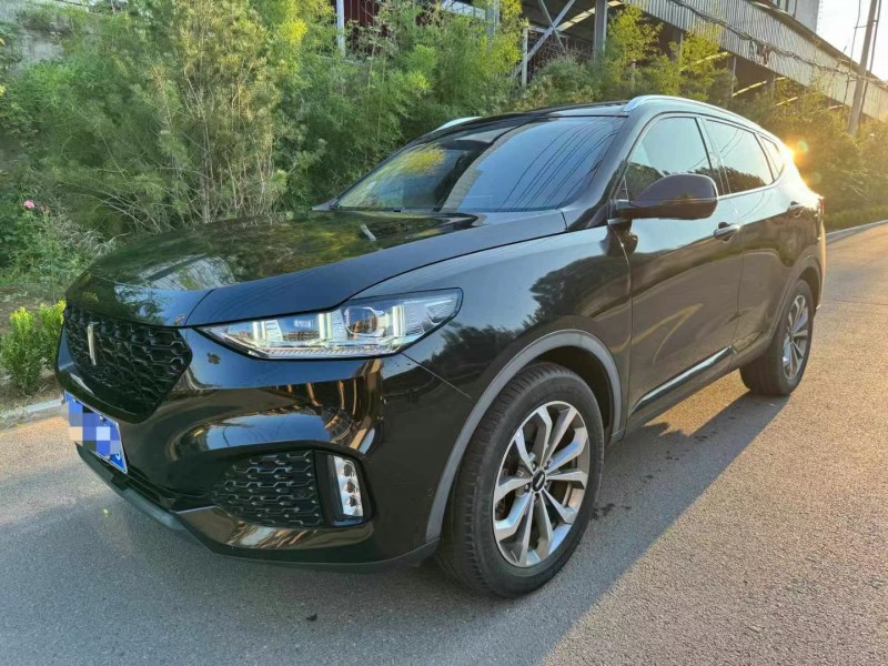 淄博18年長城汽車WEY VV62