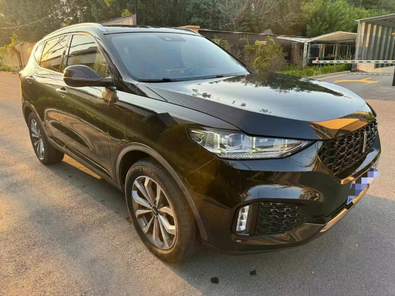 淄博18年長城汽車WEY VV63