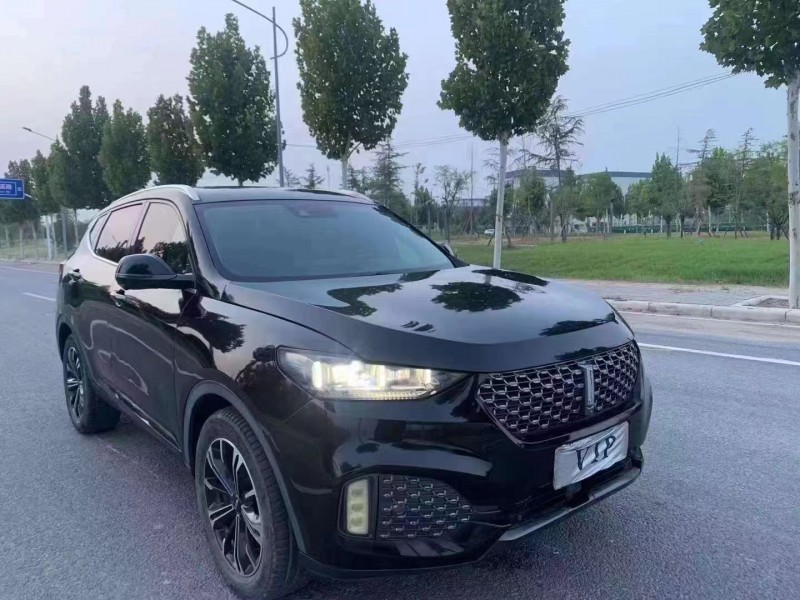鄭州19年長城汽車WEY VV62