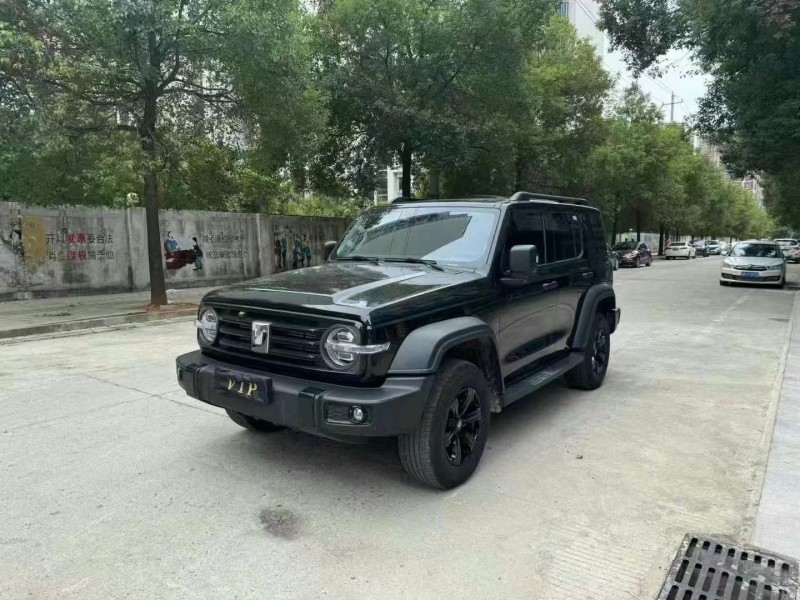 泰安24年長城汽車坦克3002