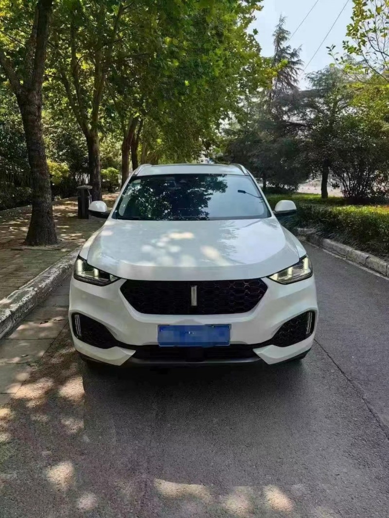 平頂山19年長城汽車WEY VV61