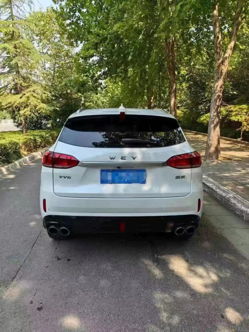 平頂山19年長城汽車WEY VV69