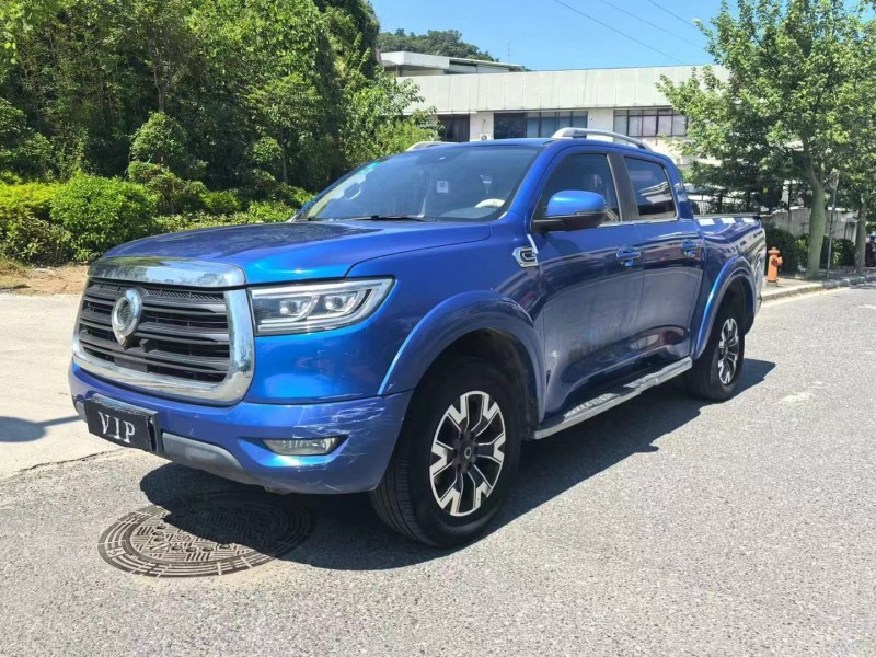 廣州19年長城汽車炮 皮卡2