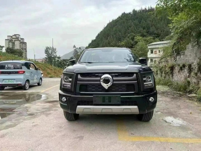 重慶24年長城汽車炮 皮卡1