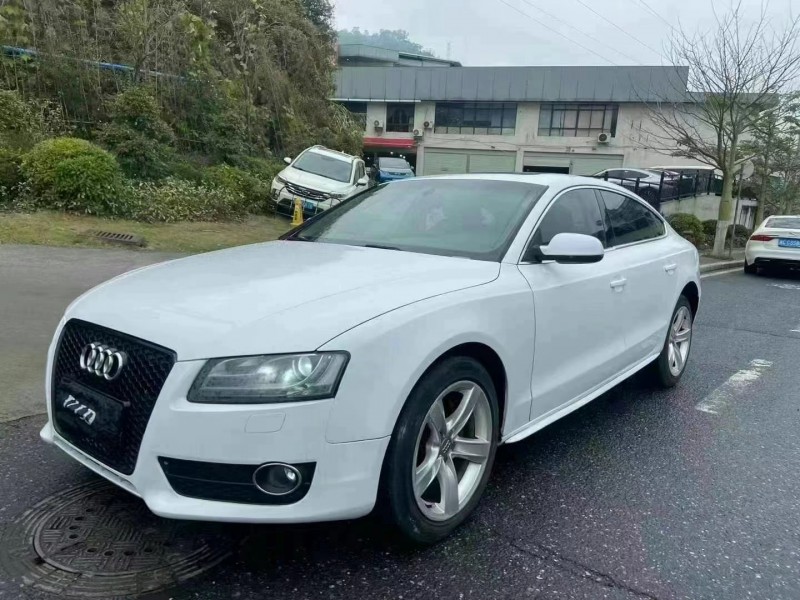 广州12年奥迪A52