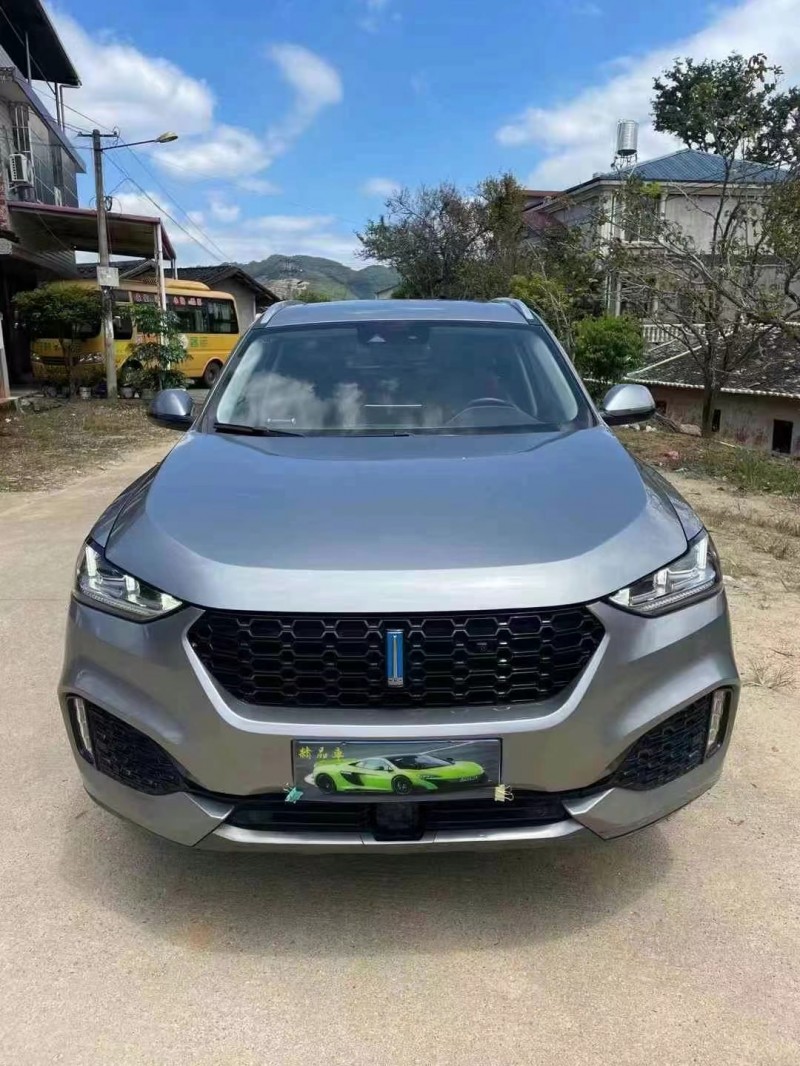 漳州19年長城汽車WEY VV61