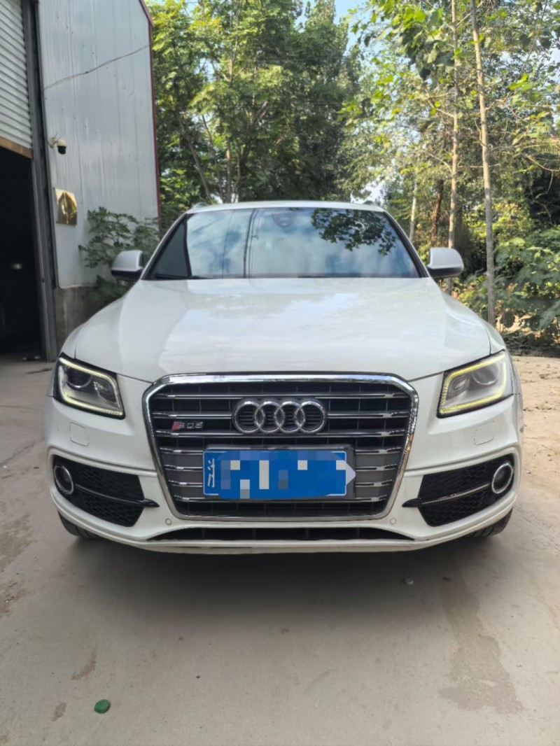 菏泽15年奥迪SQ51