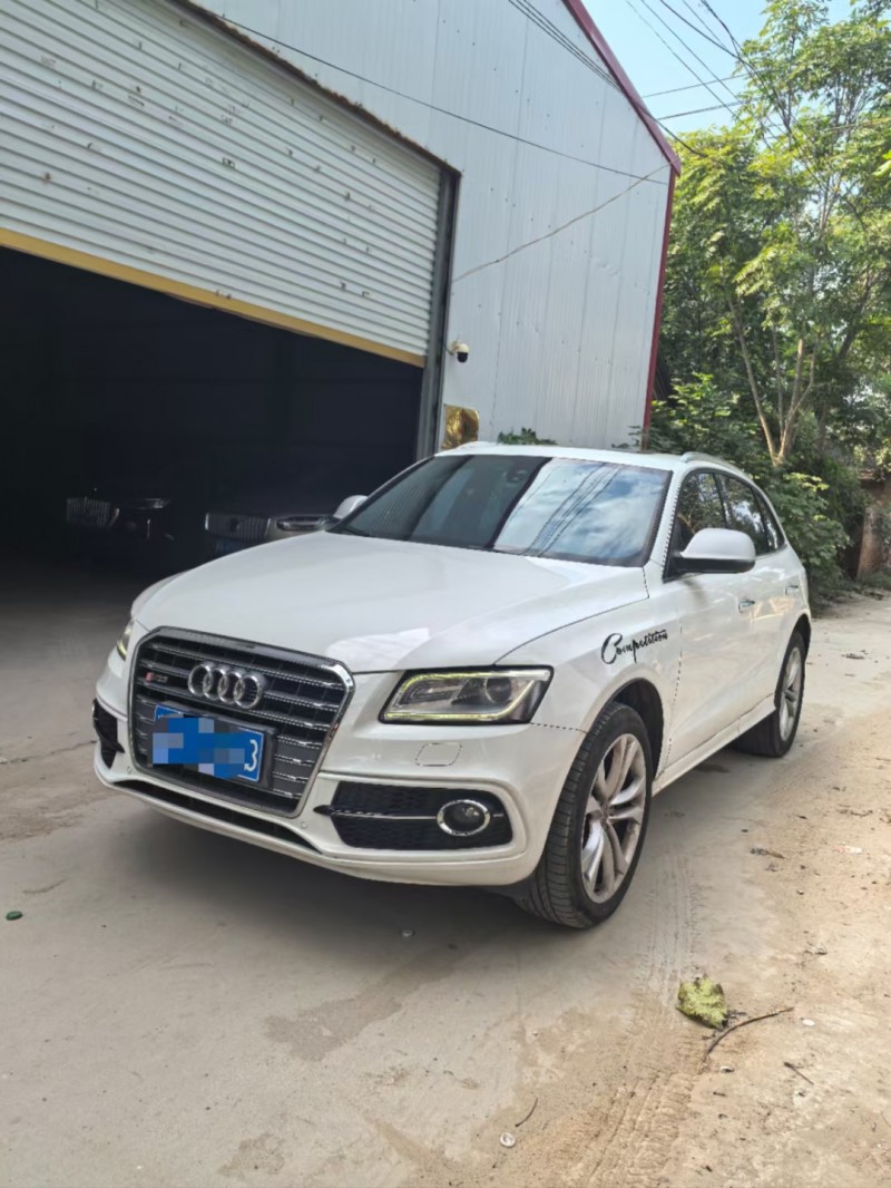 菏泽15年奥迪SQ52