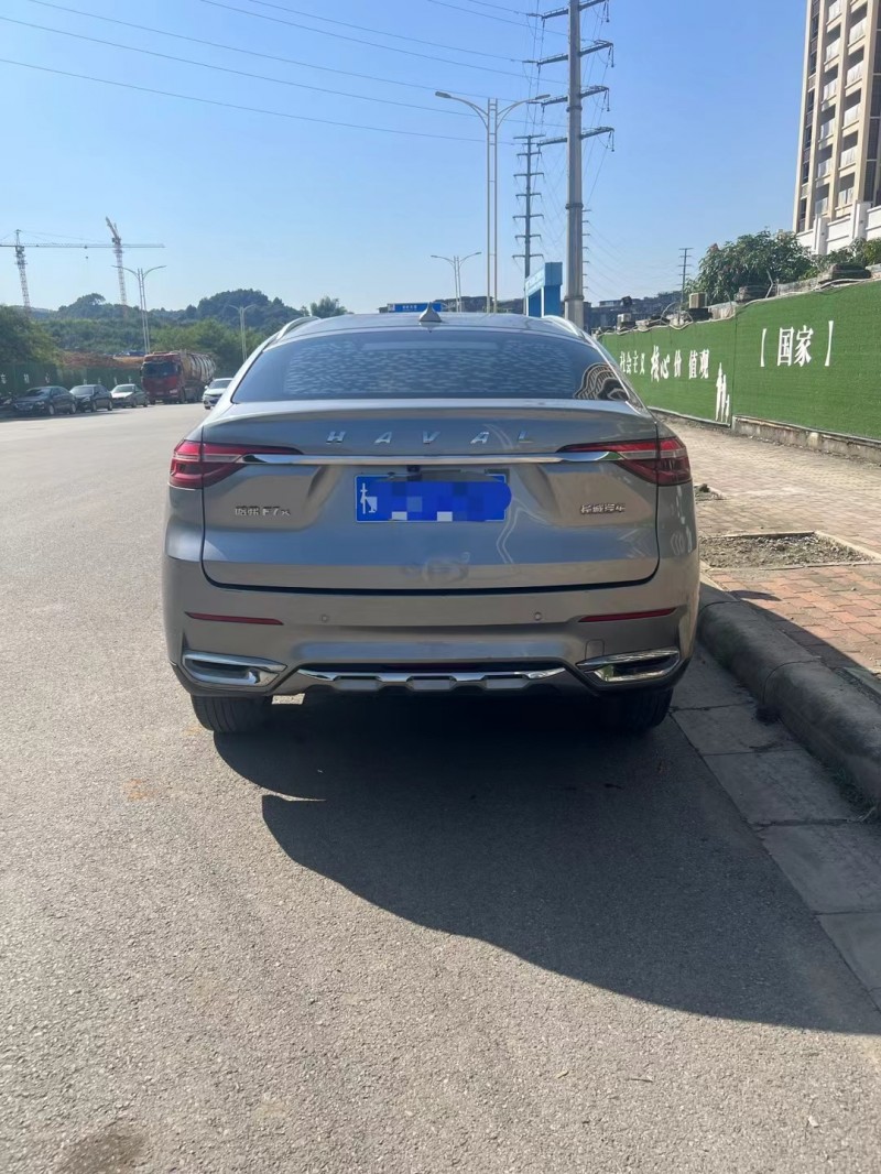 桂林20年哈弗F74