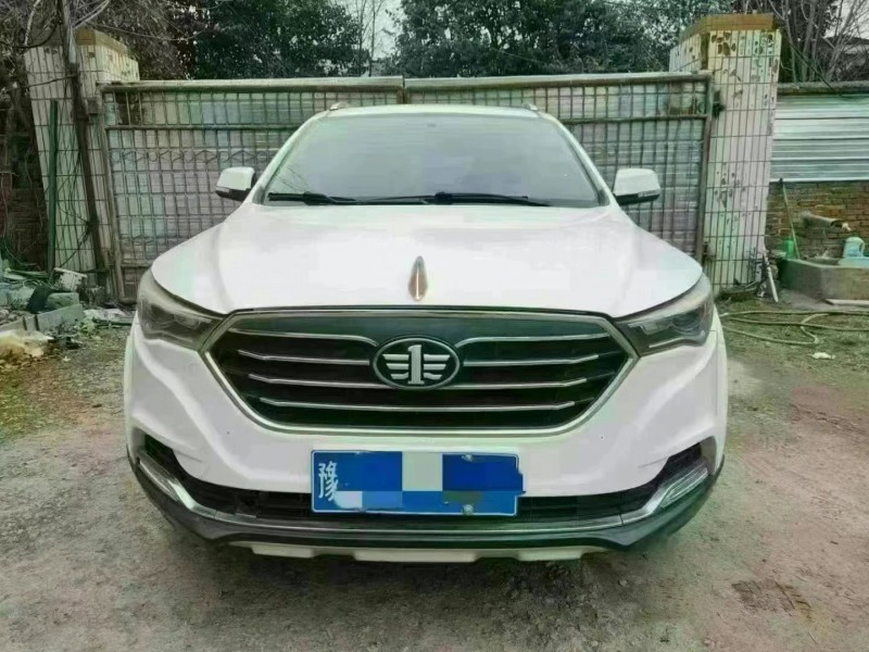 許昌17年奔騰X401