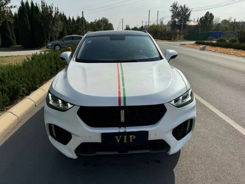 濟寧18年長城汽車WEY VV51