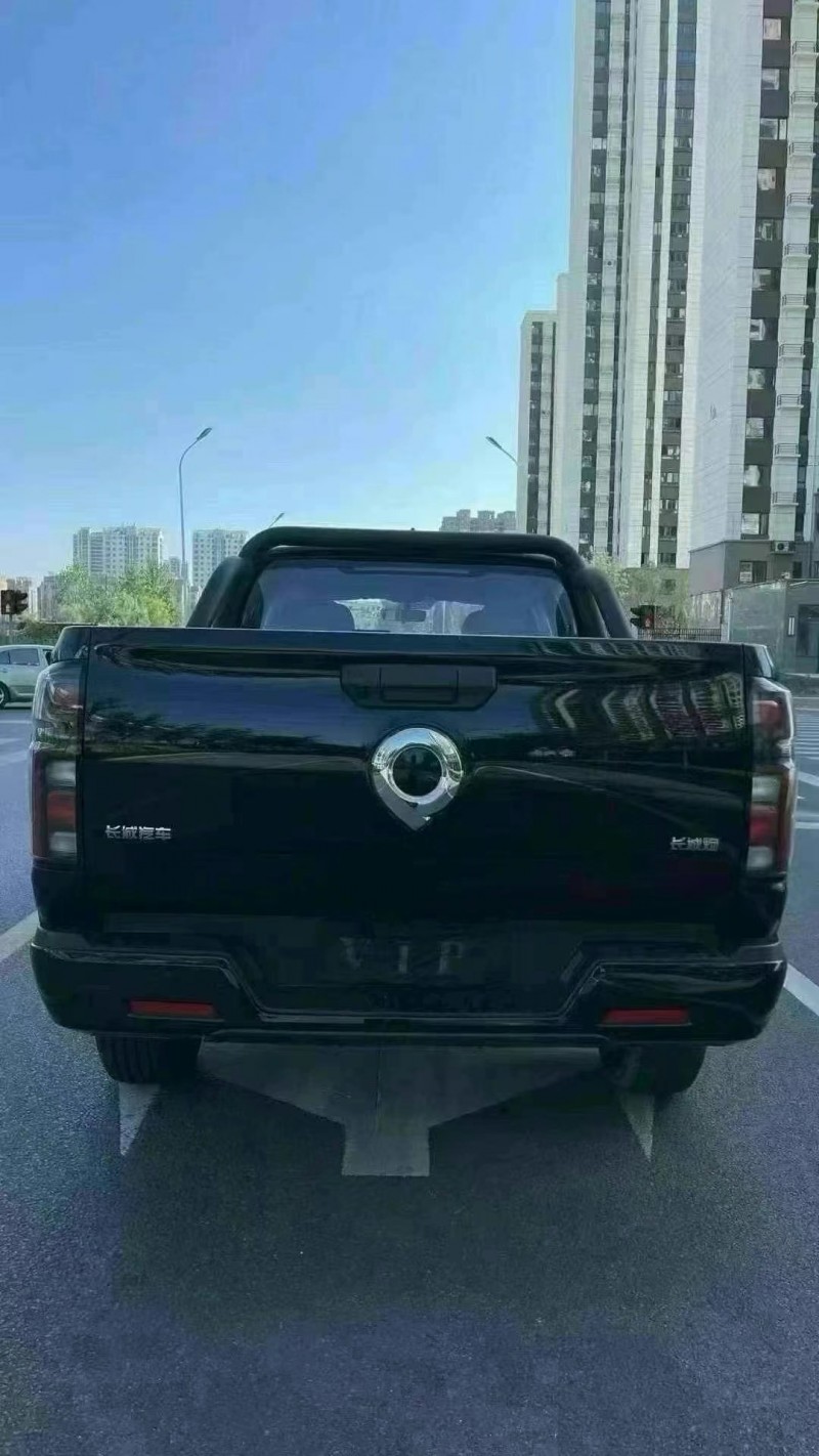 濟寧24年長城汽車炮 皮卡6