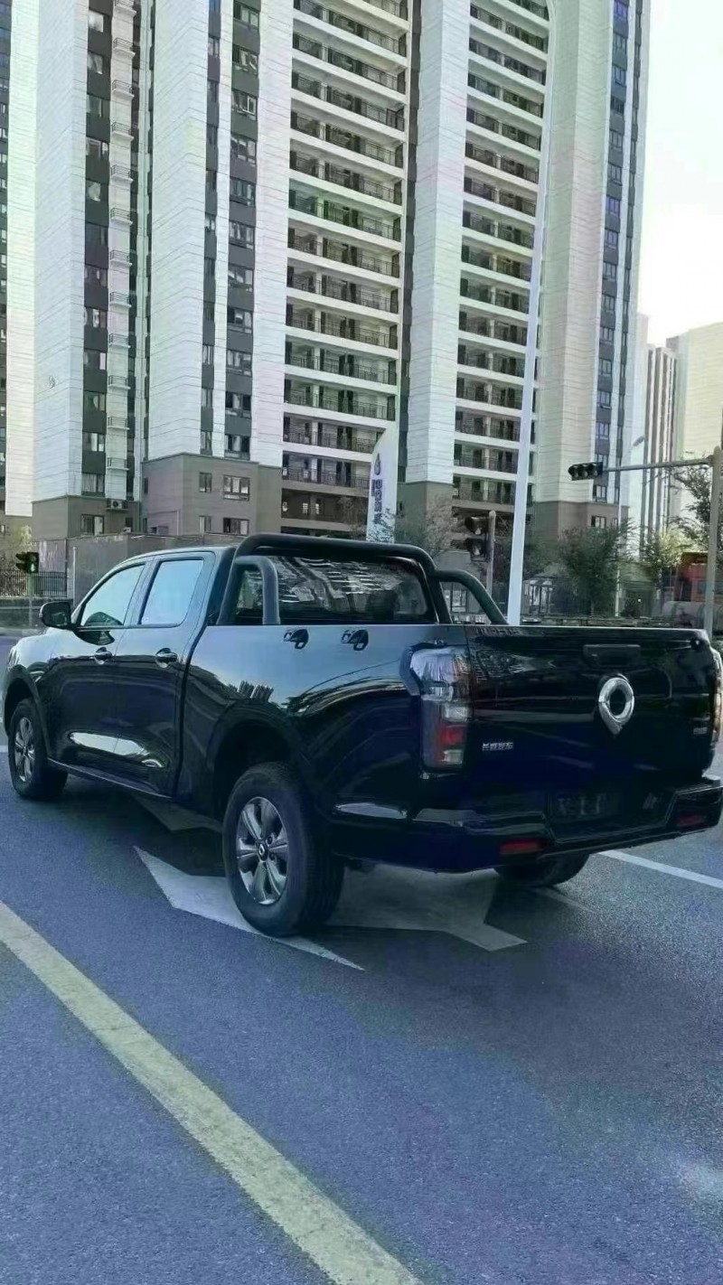 濟寧24年長城汽車炮 皮卡7