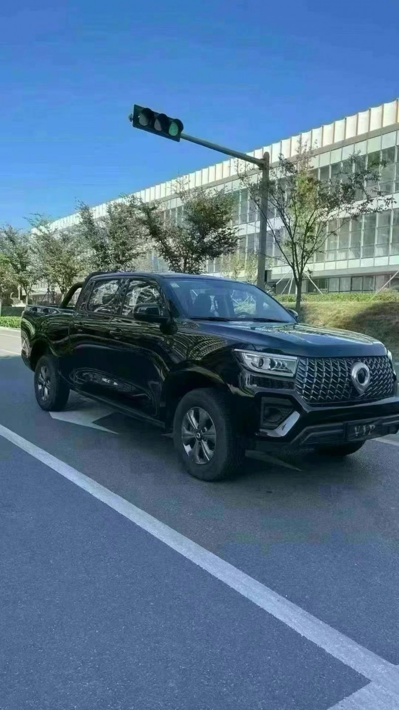 濟寧24年長城汽車炮 皮卡8