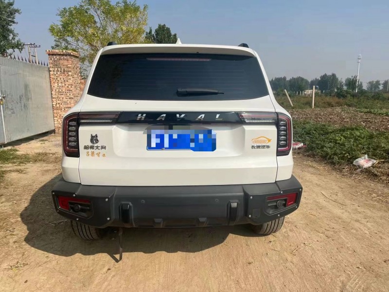 保定22年哈弗大狗8