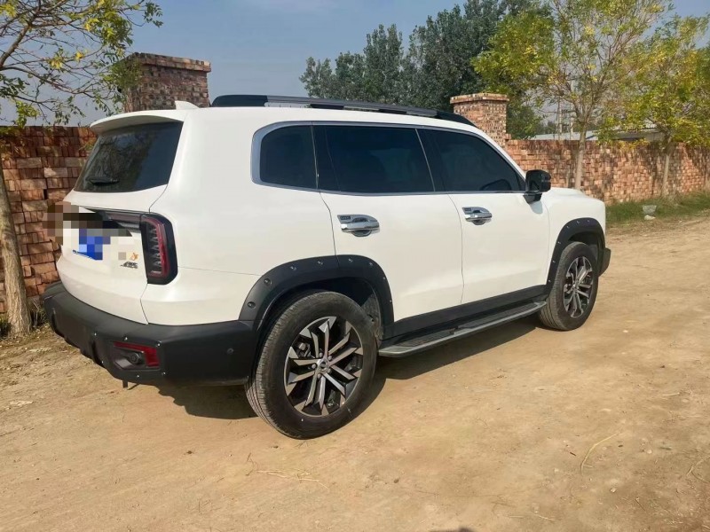 保定22年哈弗大狗9