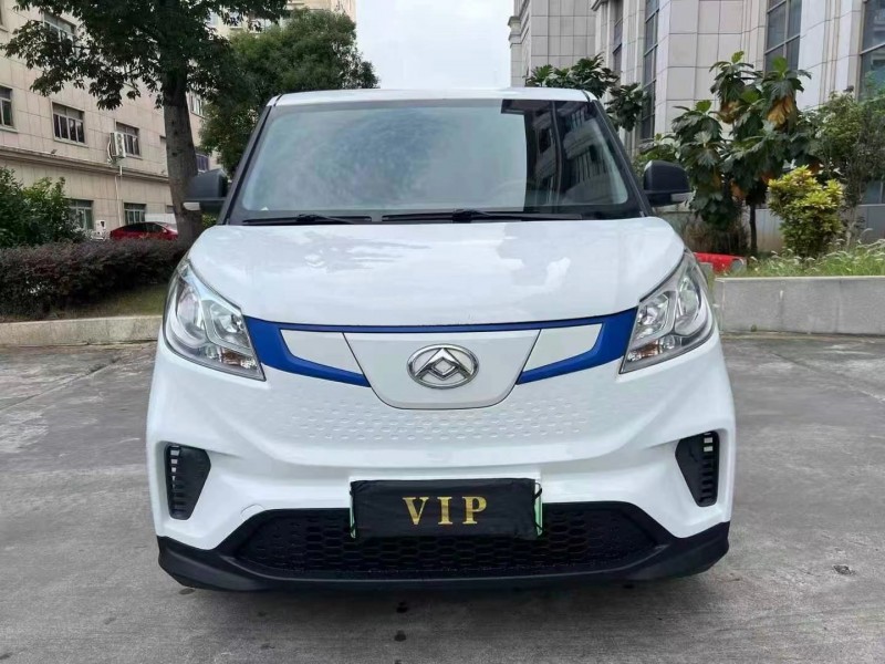 广州20年大通EV30L1