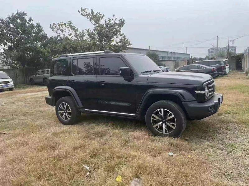濟寧23年長城汽車坦克3009