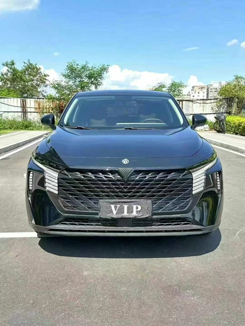 東莞22年啟辰大V1