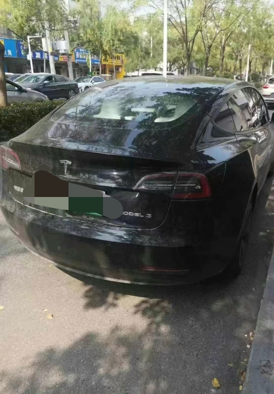 濰坊22年特斯拉MODEL 34