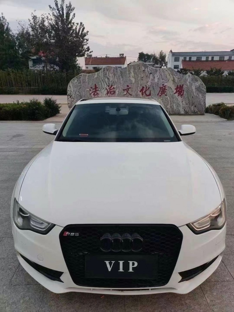 菏泽12年奥迪A51