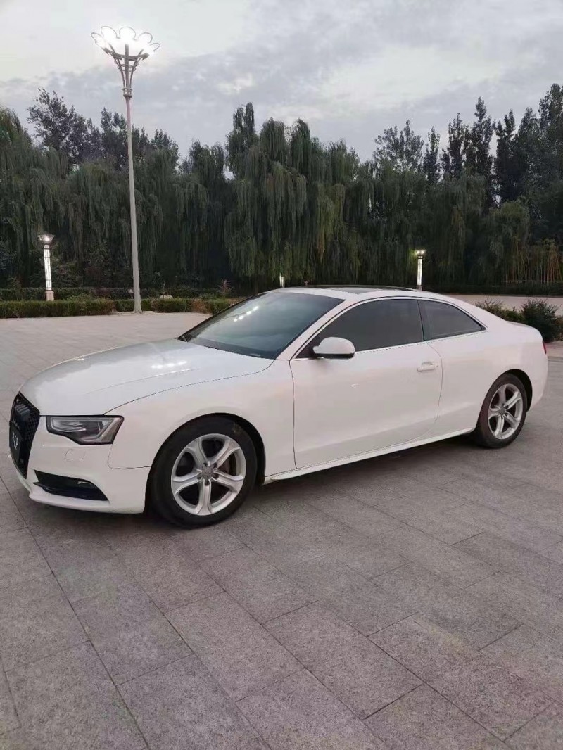 菏泽12年奥迪A52