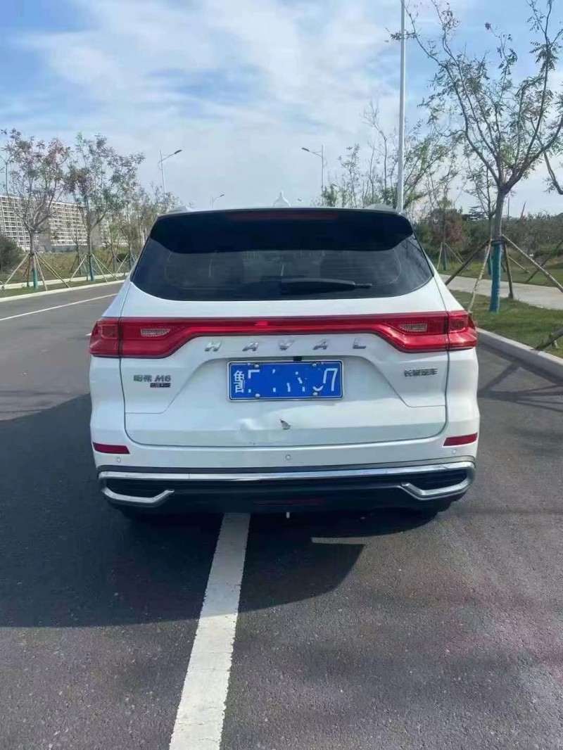 潍坊21年哈弗M65