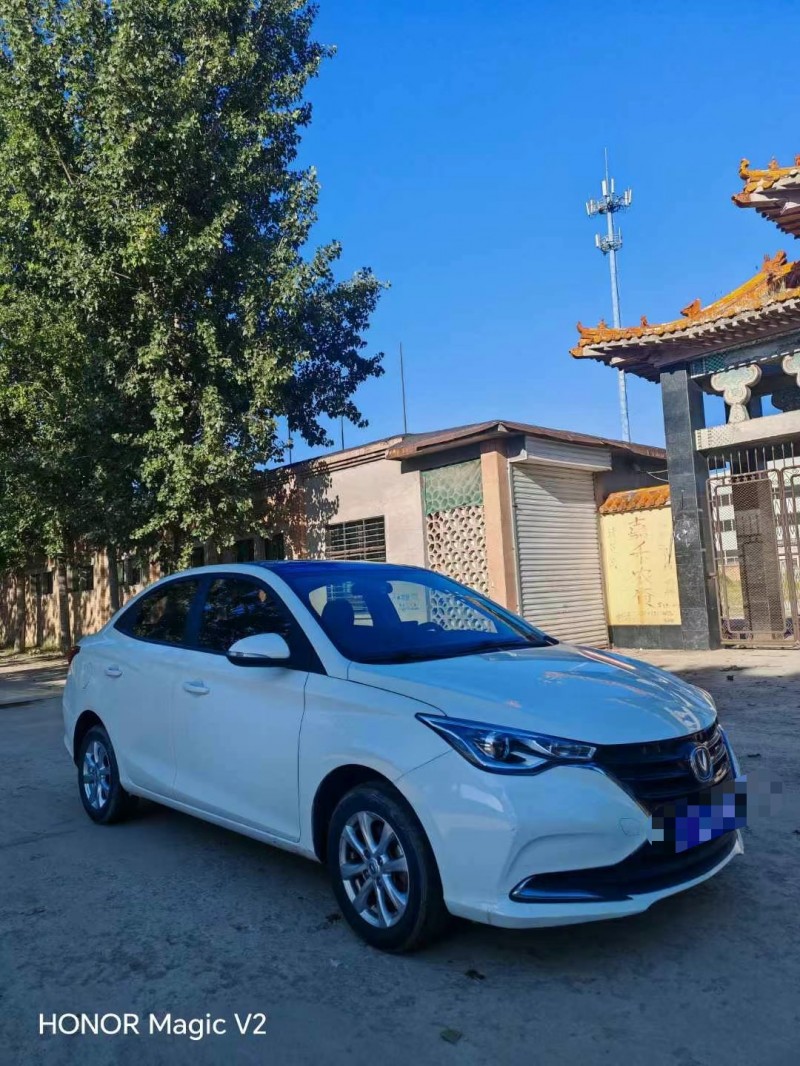 保定20年长安汽车悦翔2