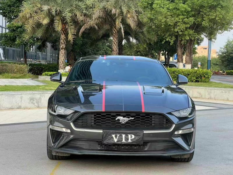 东莞19年福特野马1