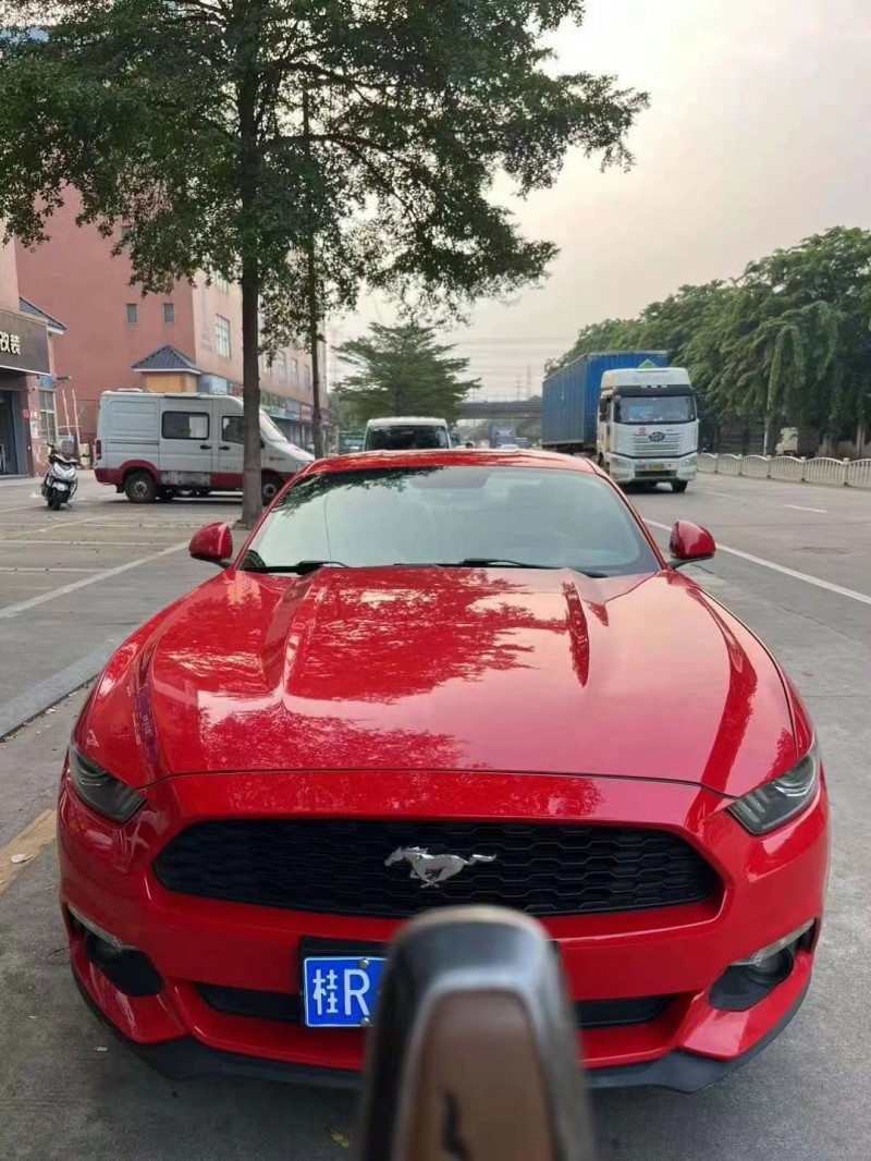 广州16年福特野马1