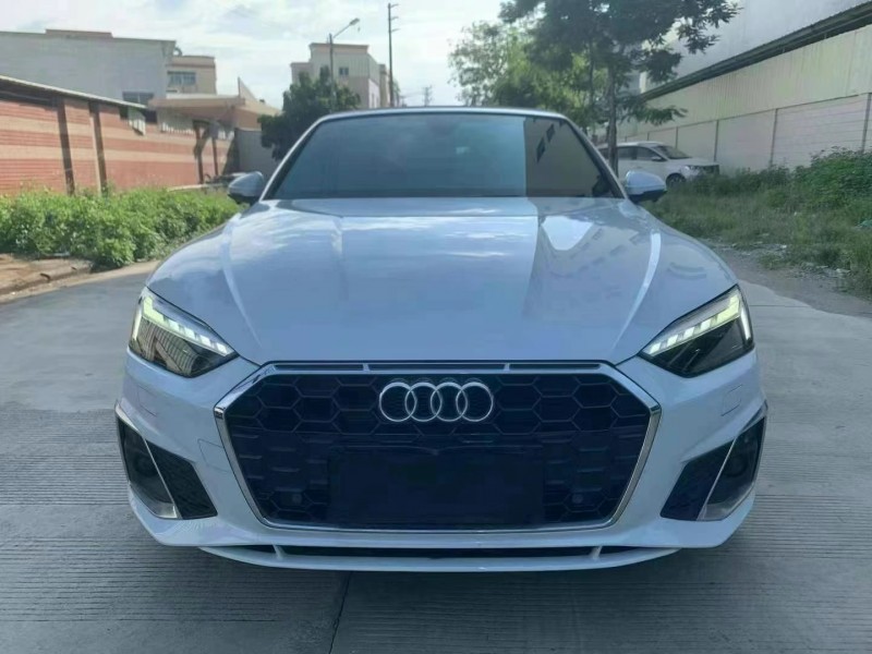 广州22年奥迪A51